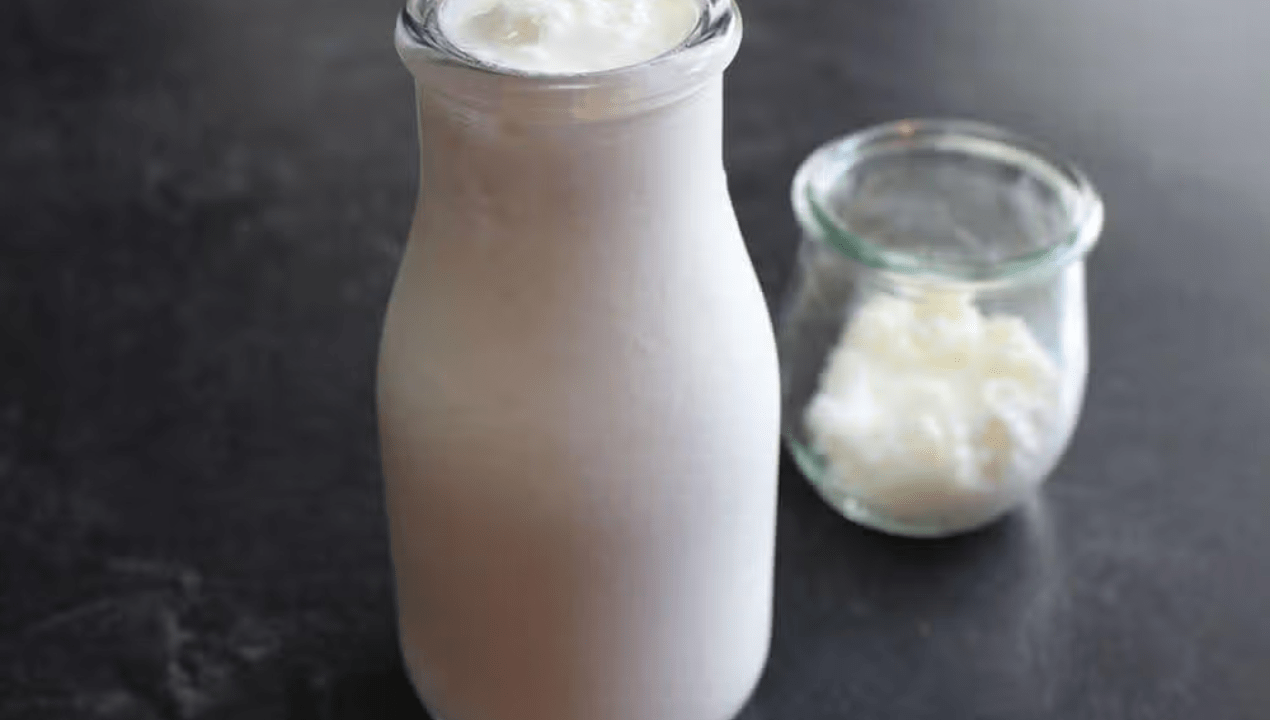 Resep Kefir 2025