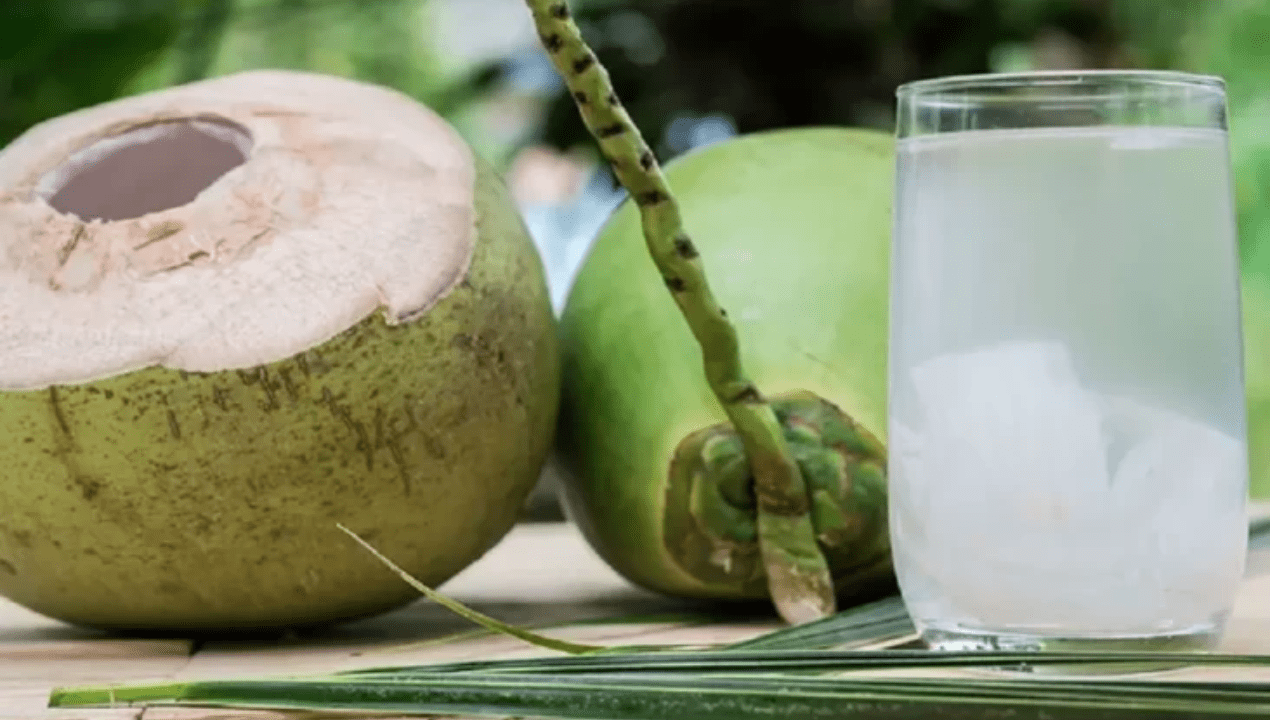 Manfaat Air Kelapa Muda untuk Pria