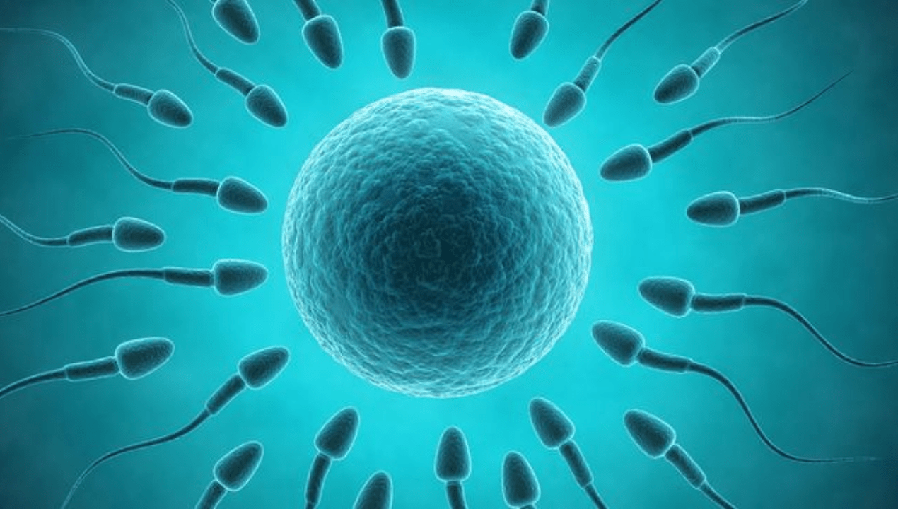 Sperma nol