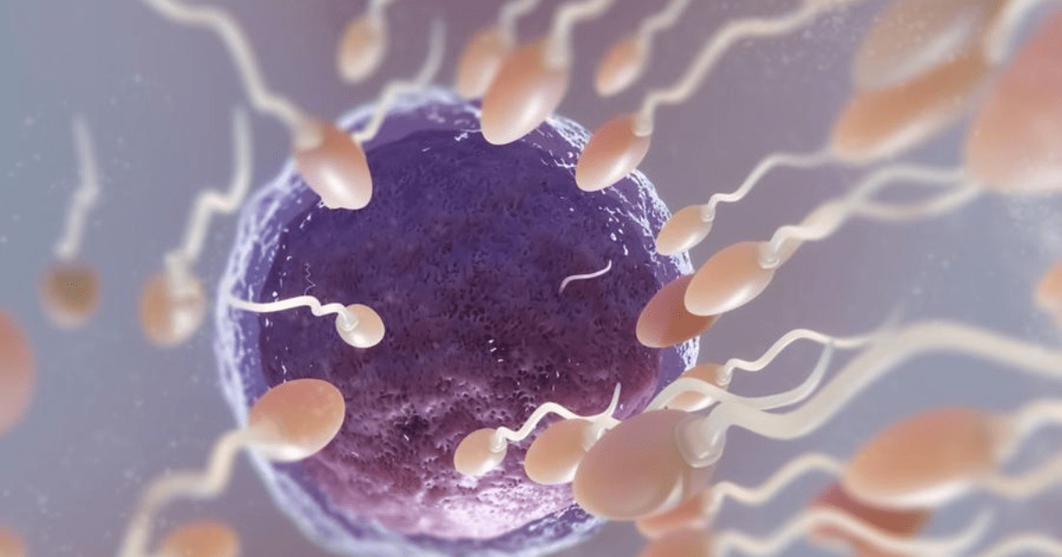 Mikroplastik Kurangi Jumlah Sperma