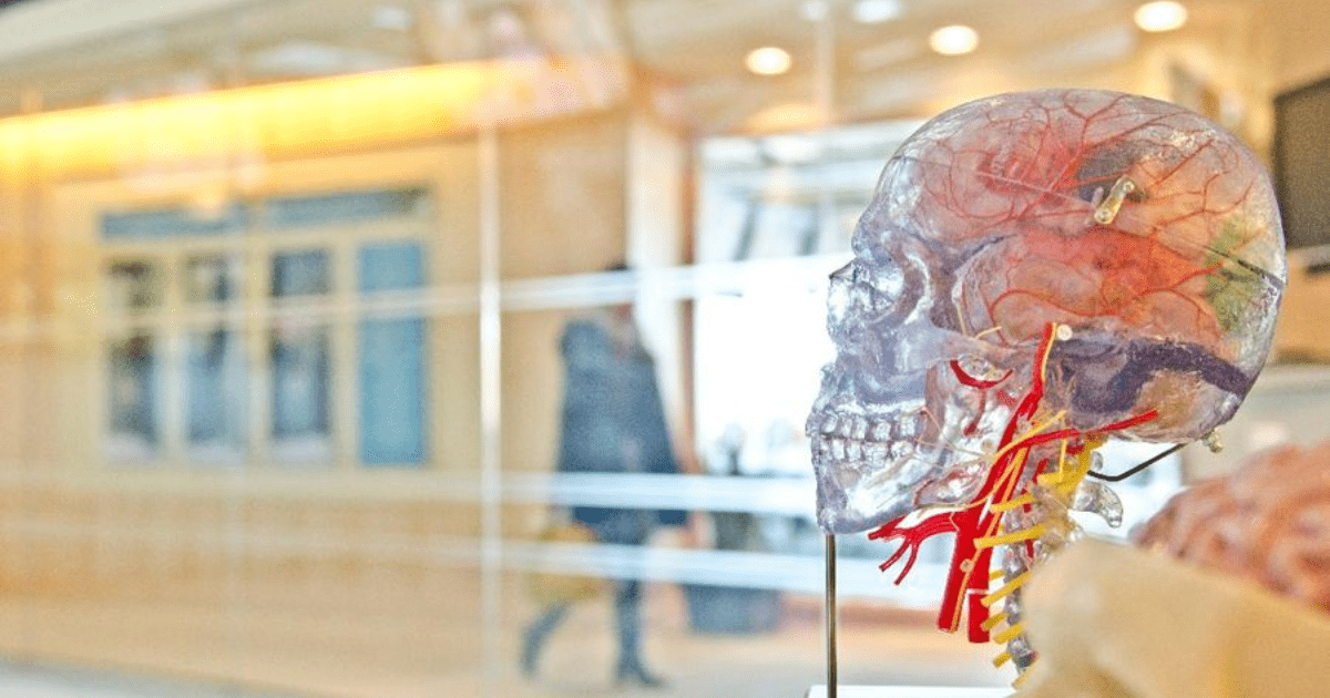 Neuralink Pasang Chip di 12 Kepala Manusia